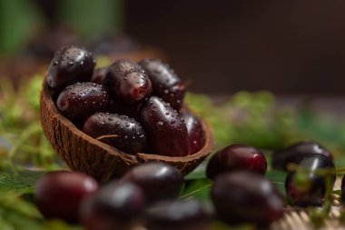 Hint Ayurvedic medikal taze organik meyve jamun (Syzygium Cumini) koleksiyonunun yakın çekimi (jamun tohumları diyabet için Ayurvedic bir bitkidir.
