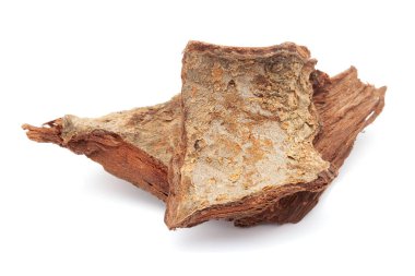 Beyaz arkaplan üzerinde izole edilmiş Arjuna Barks (terminalia arjuna) yakın plan.