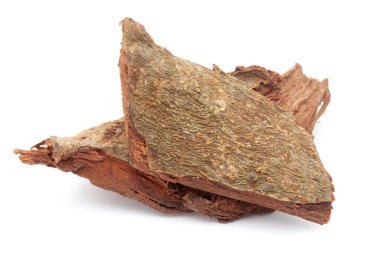 Beyaz arkaplan üzerinde izole edilmiş Arjuna Barks (terminalia arjuna) yakın plan.