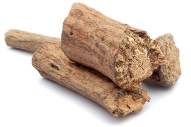 Beyaz zemin üzerinde izole edilmiş Dry Vridha Daru (Argyreia speciosa) kabukları.