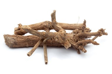 Kuru Punarnava (Boerhavia diusa) köklerine yakın plan, beyaz arkaplanda izole.