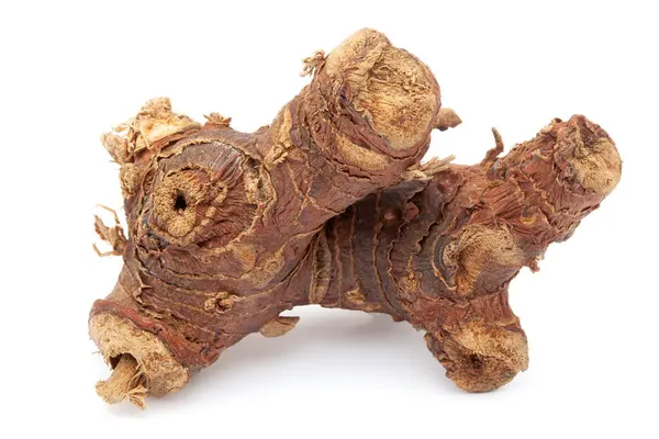 stock image Closeup of Dry Kulanjan (Alpinia galanga) roots, isolated on white background.