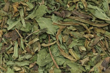 Organik kuru yeşil True Comfrey (Symphytum officinale) yaprakları. Makro arka plan dokusunu kapat. Üst görünüm.