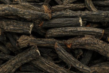 Organik kuru True comfrey (Symphytum officinale) kökleri. Makro arka plan dokusunu kapat. Üst görünüm.