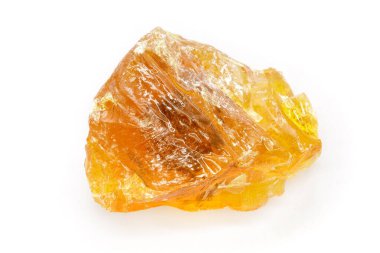 Beyaz arka planda organik Hint küme çamı (Pinus pinaster) izole edilmiştir. Makro, kapat. Üst görünüm.