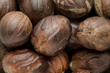 Organik Olgun Organik Nutmeg (Myristica parfümleri). Makro arka plan dokusunu kapat. Üst görünüm.