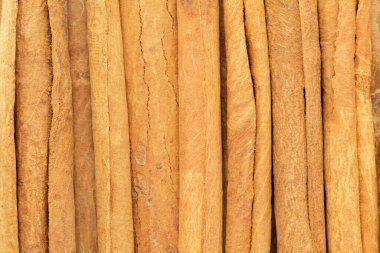 Kuru organik tarçın çubuklarının (Cinnamomum verum) beyaz zemin üzerinde izole üst görünümü.