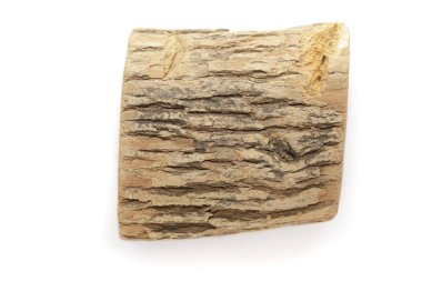 Yabanturpu ağacının organik kuru odun parçası (Armoracia rusticana). Beyaz arka planda izole edilmiş. Üst görünüm.