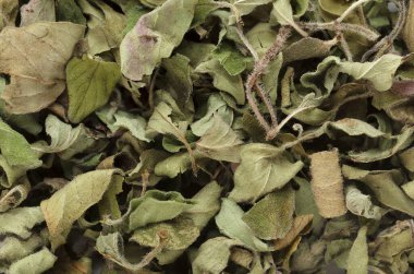 Organik kuru Oregano yaprakları (Origanum vulgare). Makro arka plan dokusunu kapat. Üst görünüm.