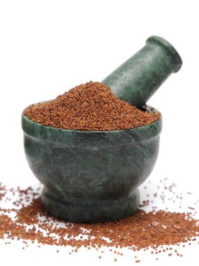 Organik Hint Hardal Tohumu (Brassica juncea) mermer kabuk üzerinde ve beyaz arkaplan üzerinde