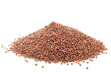 Organik kahverengi hardal yığını (Brassica juncea) beyaz arka plan üzerinde izole