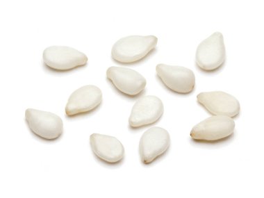 Organik Susam beyaz Makro closeup (Sesamum indicum) beyaz arka plan üzerinde izole.
