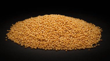 Koyu arka plan üzerinde Organik sarı hardal yığını (Brassica alba).