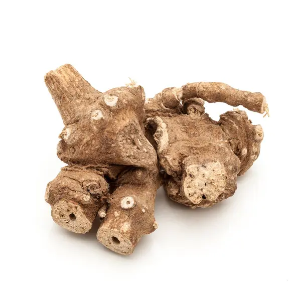 stock image Macro closeup of a Organic Ganthoda or Long pepper Roots (Piper longum) isolated on white background.