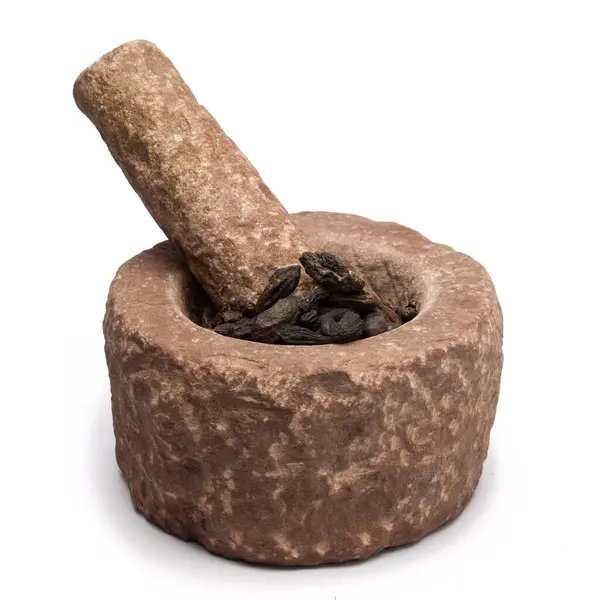 stock image Organic Chebulic Myrobalan or Choti Harad (Terminalia chebula) in mortar with pestle, isolated on white background.