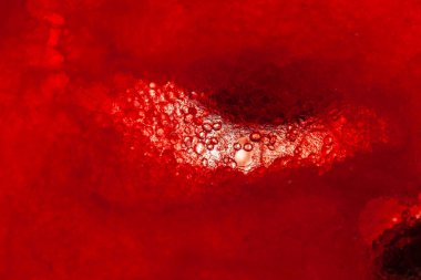 Organik karpuzun (Citrullus Lanatus) aşırı yakın çekimi, su bezleri, doğal lif ve ksilemi duvar kağıdı arka planı olarak gösterir.