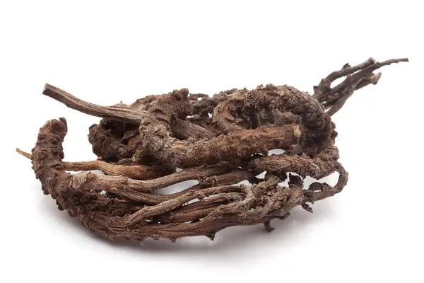 stock image Close-up of Dry Nirgundi (Vitex negundo) roots, isolated on a white background. Front view.