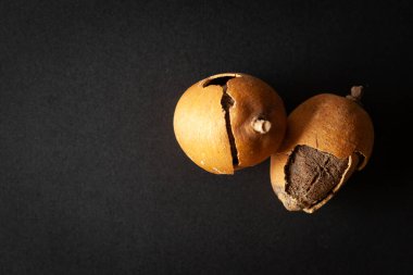 Siyah arka planda izole edilmiş bir yığın Kuru Organik Hingot veya Çöl Tarihi (Balanites indica) meyvesi. Üst görünüm