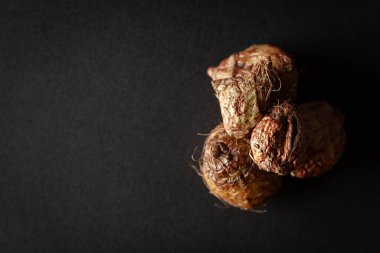 Bir yığın kuru organik meyan kökü veya Mulethi (Glycyrrhiza glabra), siyah arka planda izole edilmiş. Üst görünüm