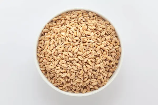 stock image Organic Wheat Grains (Triticum) or Caryopsis Fruits, in a white ceramic bowl. Isolated on a gray background. Top View