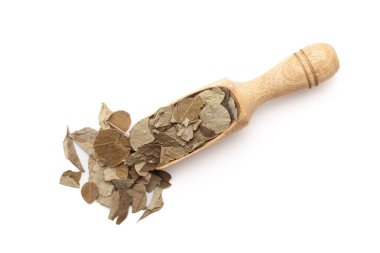 Top view of a wooden scoop filled with Organic Moringa (Moringa oleifera) leaves. Isolated on a white background. clipart