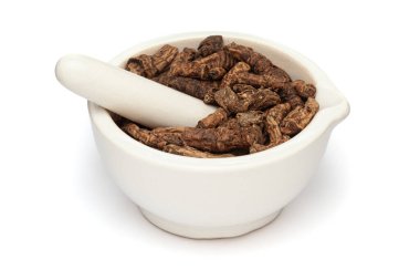 Beyaz seramik havan ve tokmak ile izole edilmiş, Kuru Organik Hellebore veya Kutki (Picrorhiza kurroa) köklerine yakın plan.