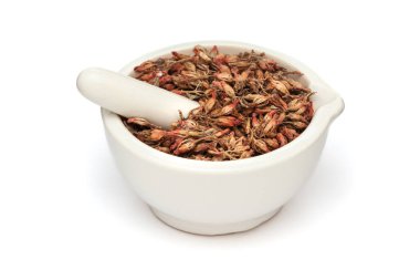 Close-up of Dry Organic Dhai Phool (Woodfordia fruticosa), in white ceramic mortar and pestle, isolated on a white background. clipart