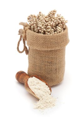 Close-up of Dry Organic Jowar or Sorghum (Sorghum bicolor) seeds, in a jute bag and Jowar Flour on a scoop, Isolated on a white background. clipart