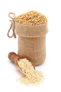 Bran (Oryza sativa) ya da Dhaan ile organik pirincin yakın plan çekimi, jüt bir torba ve pirinç, beyaz bir arka planda izole.