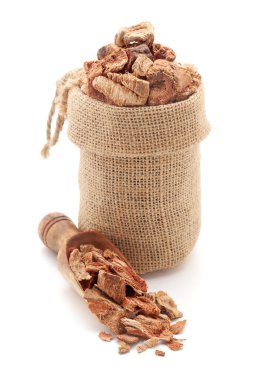 Kuru Organik Semal Musli (Bombax Mulabaricum) bitkisinin yakın plan çekimi, bir jute torbasında ve beyaz arka planda izole edilmiş bir kepçe üzerinde.