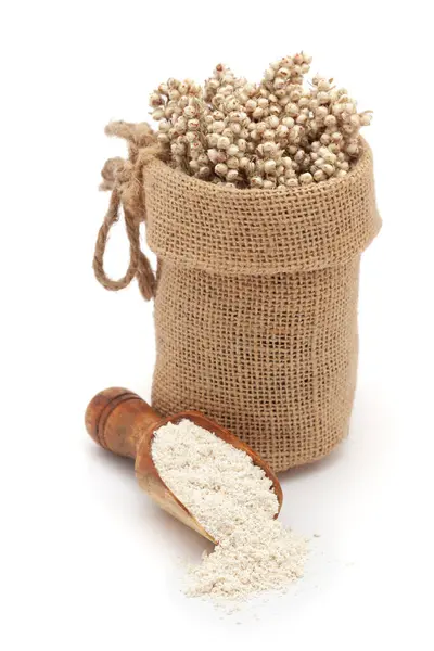 stock image Close-up of Dry Organic Jowar or Sorghum (Sorghum bicolor) seeds, in a jute bag and Jowar Flour on a scoop, Isolated on a white background.