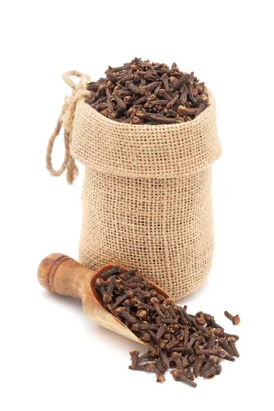 stock image Close-up of Organic Clove (Syzygium aromaticum) or Indian long, in a jute bag and on a scoop, Isolated on a white background.