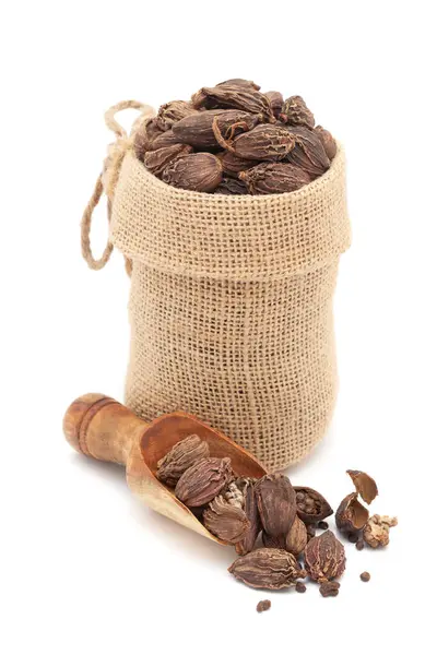 stock image Close-up of Organic Black cardamom (Amomum subulatum), in a jute bag and on a scoop, Isolated on a white background.