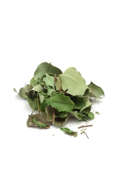 stock image A pile of dry organic Indian Rosewood (Dalbergia sissoo) or Sheesham leaves. Isolated on a white background.