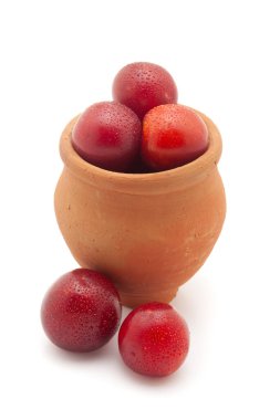 Front view of fresh Cherry Plum (Prunus cerasifera) fruits in a mud pot. Isolated on a white background. clipart