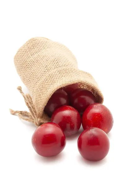 stock image Front view of fresh Cherry Plum (Prunus cerasifera) fruits spilled out from a jute bag on a white background.