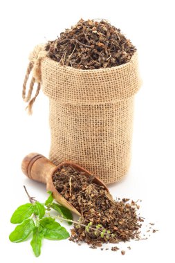 Close-up of dry Organic Green Holy Basil or Rama Tulsi (Ocimum Sanctum) leaves, in a jute bag and Tulsi leaves on a scoop, Isolated on a white background. clipart