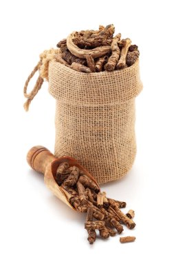 Close-up of Dry Organic Hellebore or Kutki (Picrorhiza kurroa) roots, in a jute bag and on a scoop, Isolated on a white background. clipart