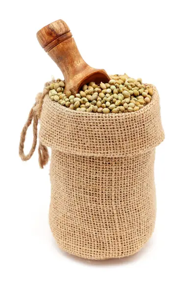 stock image Close-up of Organic Coriander (Coriandrum sativum) seeds, in a jute bag with a scoop, Isolated on a white background.