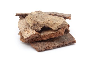 Kuru Organik Banyan veya Banian (Ficus benghalensis) kabuğuna yakın plan, beyaz arka planda izole. Ön görünüm.