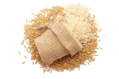 Beyaz bir arka planda izole edilmiş pirinç gevreği yığınında organik pirinç (Oryza sativa) yakın plan görüntüsü..