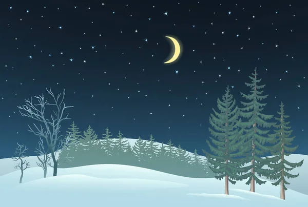 Зимовий Нічний Фон Тема Новий Рік Різдво Нічне Небо Місяцем — стоковий вектор