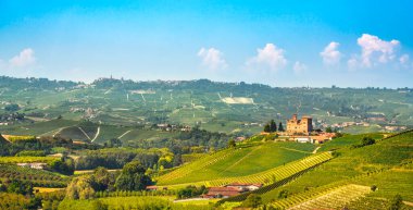 Langhe üzüm bağları panorama ve Grinzane Cavour köyü ve kalesi, Unesco dünya mirası alanı, Piedmont bölgesi, İtalya, Avrupa.