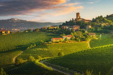 Barbaresco village and Langhe vineyards, Unesco world heritage site, Piedmont region, Italy, Europe.