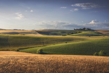 Countryside panorama in Tuscany, rolling hills and wheat fields at sunset. Santa Luce, Pisa province. Italy