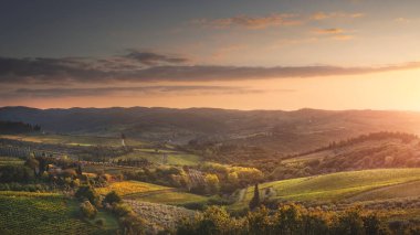 Panzano in Chianti panoramic landscape at sunset. Vineyards and olive groves in autumn. Tuscany, Italy Europe. clipart