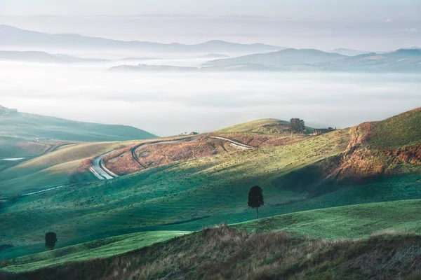 Mistig Landschap Volterra Bij Zonsopgang Bomen Glooiende Heuvels Een Weg — Stockfoto