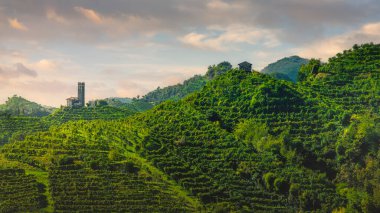 Prosecco Hills, üzüm bağları ve tepenin üstündeki San Lorenzo kilisesi. Unesco Dünya Mirası Alanı. Farra di Soligo. Veneto bölgesi, İtalya, Avrupa.