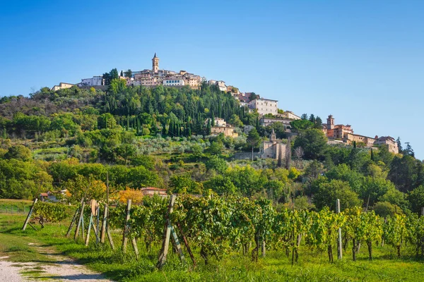 Tepenin Tepesindeki Trevi Köyü Üzüm Bağı Perugia Ili Umbria Bölgesi — Stok fotoğraf