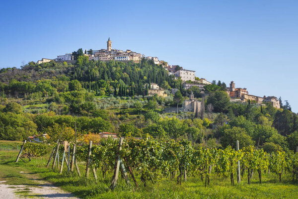 The village of Trevi at the top of the hill and a vineyard. Perugia province, Umbria region, Italy, Europe.